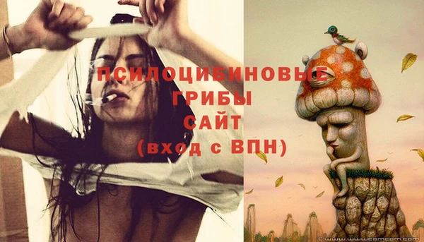 стафф Белокуриха