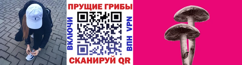 Псилоцибиновые грибы Cubensis площадка наркотические препараты Уяр